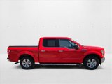 Used 2017 Ford F150 XLT w/ Equipment Group 302A Luxury image 4
