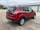 Used 2017 Ford Escape SE w/ Equipment Group 201A image 6