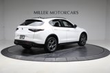 New 2025 Alfa Romeo Stelvio Sprint image 5