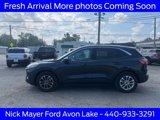 Used 2022 Ford Escape SE w/ Convenience Package image 4