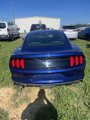 Used 2016 Ford Mustang Coupe w/ Equipment Group 051A image 4