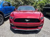 Certified 2017 Ford Mustang Premium image 2