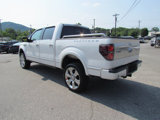 Used 2010 Ford F150 Platinum image 5