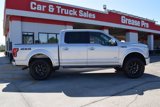 Used 2015 Ford F150 Platinum w/ Equipment Group 701A Luxury image 2