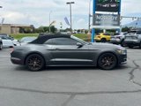 Used 2017 Ford Mustang Premium image 6