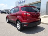 Used 2020 Ford EcoSport SE image 3