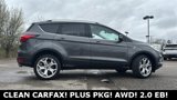 Used 2019 Ford Escape Titanium image 3