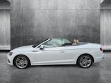 Used 2019 Audi A5 2.0T Premium Plus w/ Premium Plus image 3
