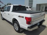 Used 2020 Ford F150 King Ranch w/ Equipment Group 601A Luxury image 3