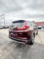 Used 2019 Honda CR-V EX image 6