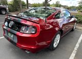 Used 2014 Ford Mustang Premium w/ Equipment Group 201A image 2