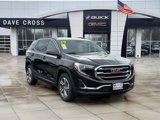 Used 2019 GMC Terrain SLT w/ Preferred Package image 3