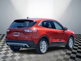 Used 2020 Ford Escape SE image 3