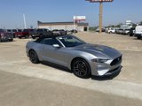 Certified 2022 Ford Mustang Premium image 5