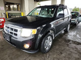 Used 2012 Ford Escape XLT image 2