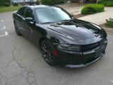 Used 2020 Dodge Charger SXT w/ Blacktop Package image 2