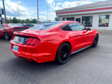 Used 2016 Ford Mustang Coupe w/ Equipment Group 051A image 5