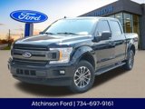 Used 2019 Ford F150 XLT w/ Equipment Group 302A Luxury image 1
