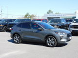 New 2025 Ford Escape ST-Line w/ Tech Pack #1 image 4