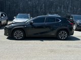 Used 2019 Lexus UX 250h F Sport image 6