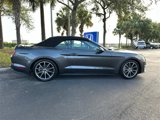 Used 2019 Ford Mustang Premium w/ Equipment Group 201A image 2