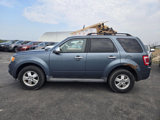 Used 2011 Ford Escape XLT image 4