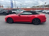 Used 2022 Ford Mustang Premium image 6