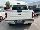 Used 2019 Ford F150 XLT image 5