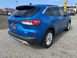 Used 2020 Ford Escape SE image 5