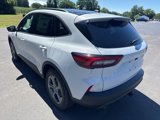 New 2025 Ford Escape ST-Line Elite image 5