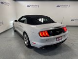 Used 2019 Ford Mustang Premium w/ Equipment Group 201A image 5