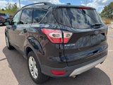 Used 2017 Ford Escape SE w/ Equipment Group 201A image 4