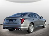 New 2025 Cadillac CT5 Premium Luxury w/ Sun And Sound Package image 2