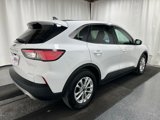 Used 2020 Ford Escape SE image 3