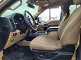 Used 2018 Ford F150 XLT w/ Equipment Group 302A Luxury image 4