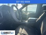 Used 2019 Ford F150 XLT w/ Equipment Group 302A Luxury image 5