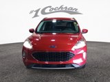 Used 2020 Ford Escape SEL image 2
