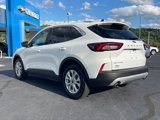 Used 2024 Ford Escape Active image 5