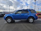Used 2011 Ford Escape XLT w/ 202A Rapid Spec Order Code image 3
