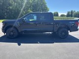 New 2025 Ford F150 STX image 4