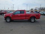 Used 2021 Ford F150 XLT w/ Equipment Group 302A High image 4