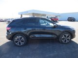 Certified 2022 Ford Escape SEL w/ SEL Stealth AWD Package image 6