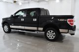 Used 2013 Ford F150 XLT w/ Luxury Equipment Group image 3