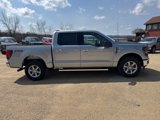New 2025 Ford F150 XLT w/ Equipment Group 301A Standard image 6