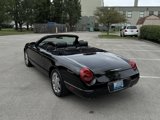 Used 2002 Ford Thunderbird image 4