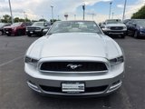 Used 2013 Ford Mustang Premium image 4