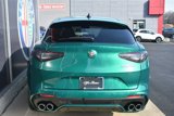 New 2024 Alfa Romeo Stelvio Quadrifoglio w/ Active Assist Plus Package image 4