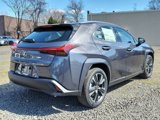 New 2024 Lexus UX 250h AWD w/ Premium Package image 4