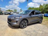 Used 2022 Ford Escape SE w/ SE Sport Appearance Package image 4