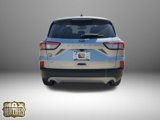 Used 2022 Ford Escape SE w/ Convenience Package image 4